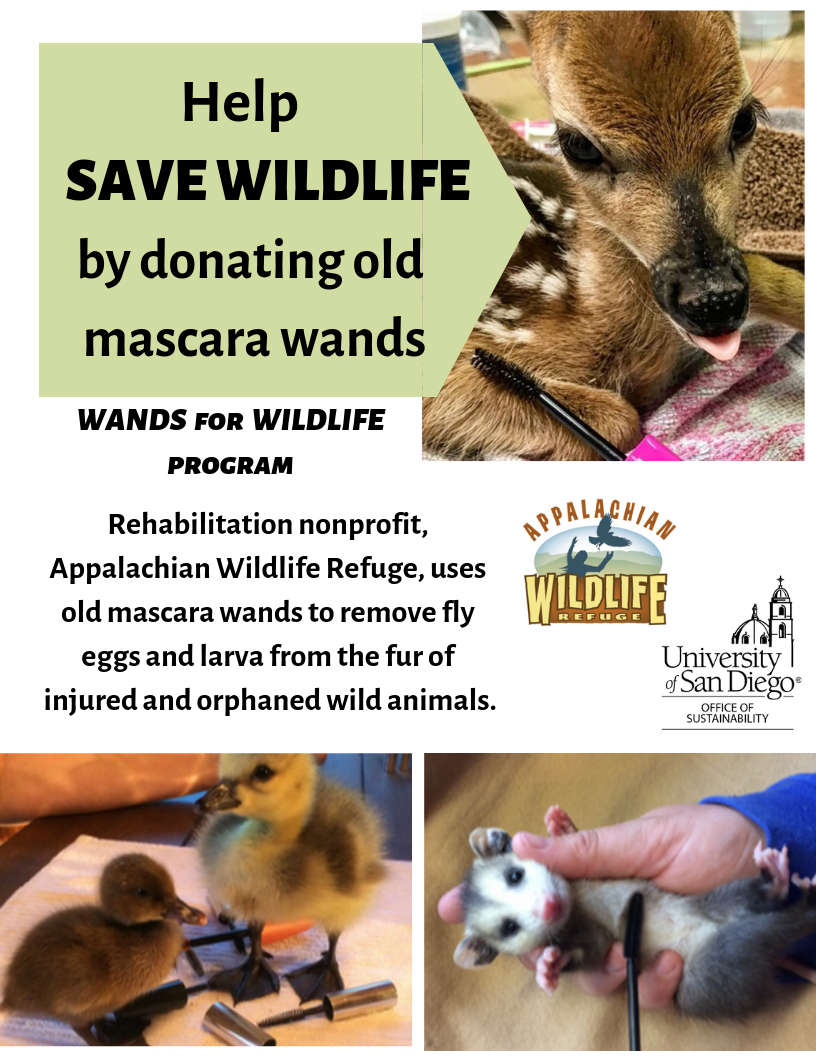 Donate Old Mascara Wands to Help Save Wildlife - University of San Diego